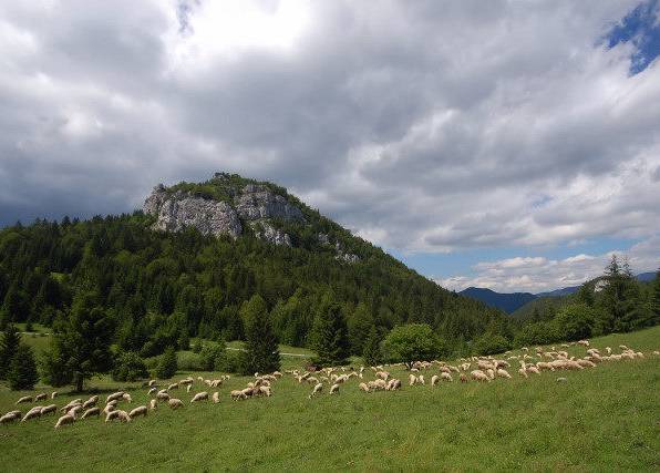 vlkolinec_004_original_copy_1