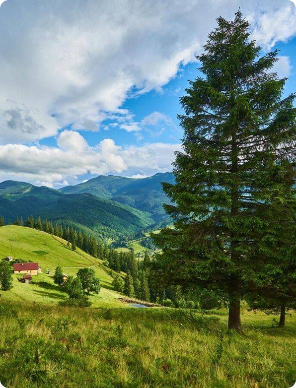 tatry2_original