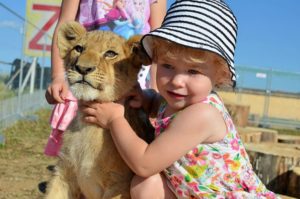 zoo kontakt
